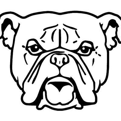 Bulldog